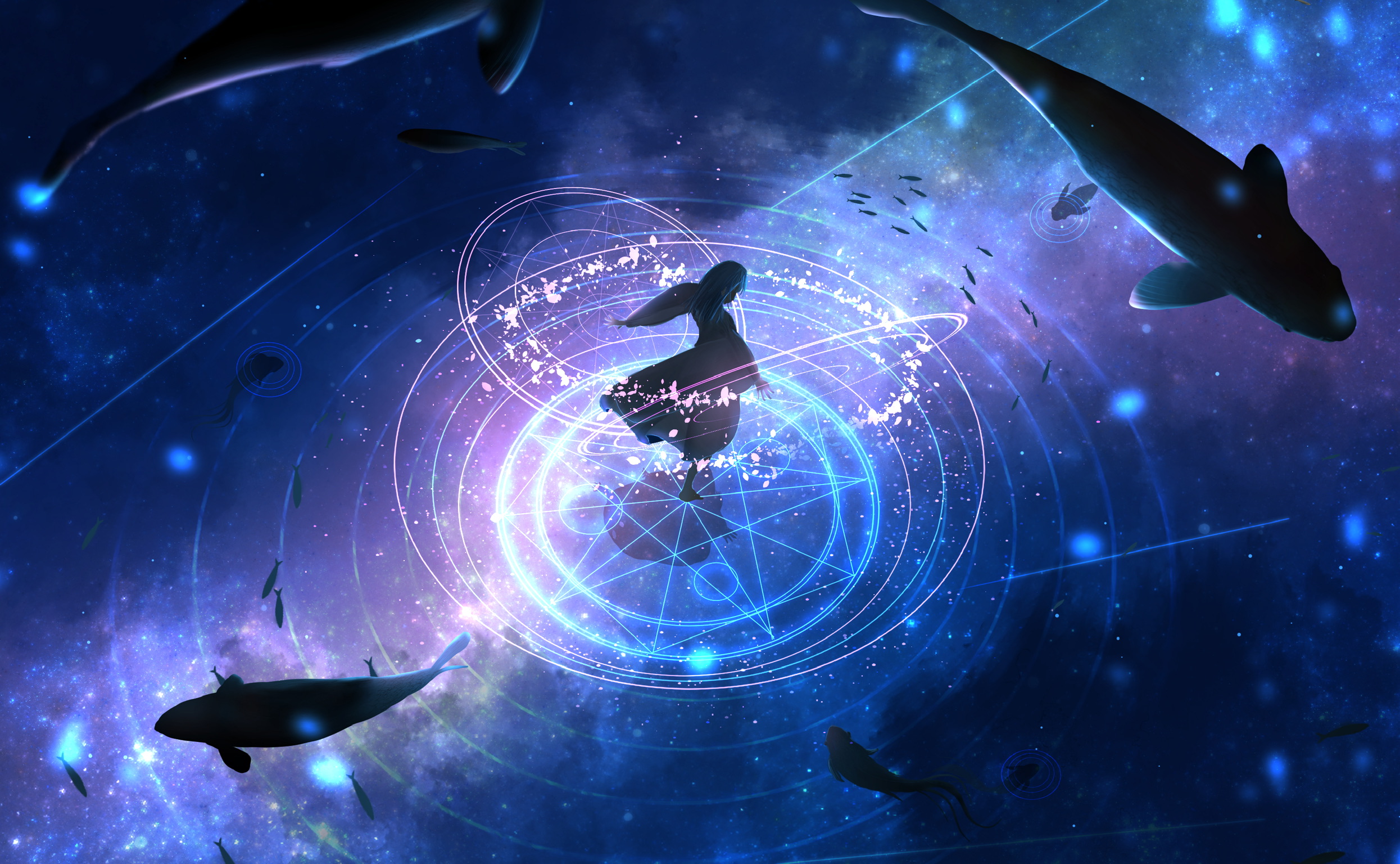 python爬虫的小题目